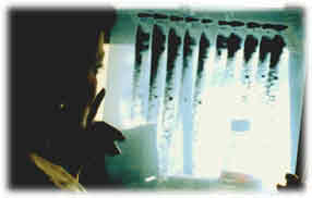 Photographie : Conseil national de recherches du Canada..